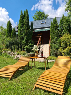 House Poljana